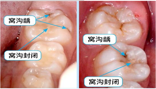 香港正宗六宝典资料大全