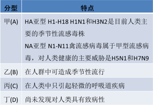 香港正宗六宝典资料大全