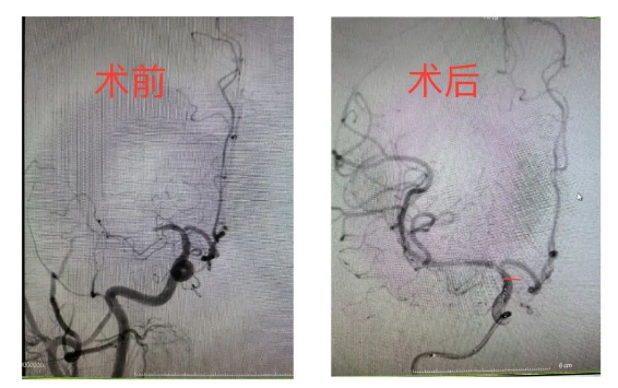 香港正宗六宝典资料大全